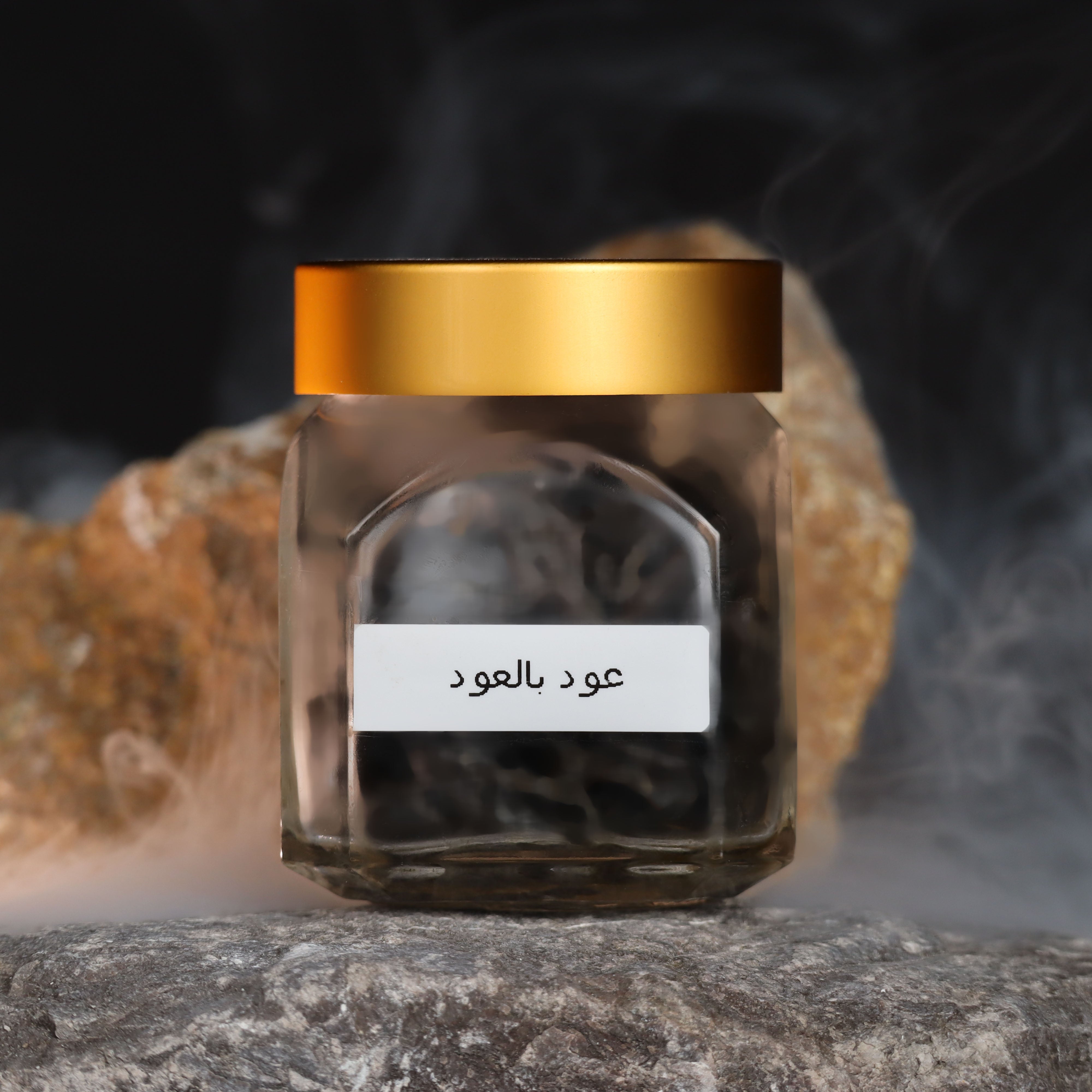 Dokhoon Ariani with oud