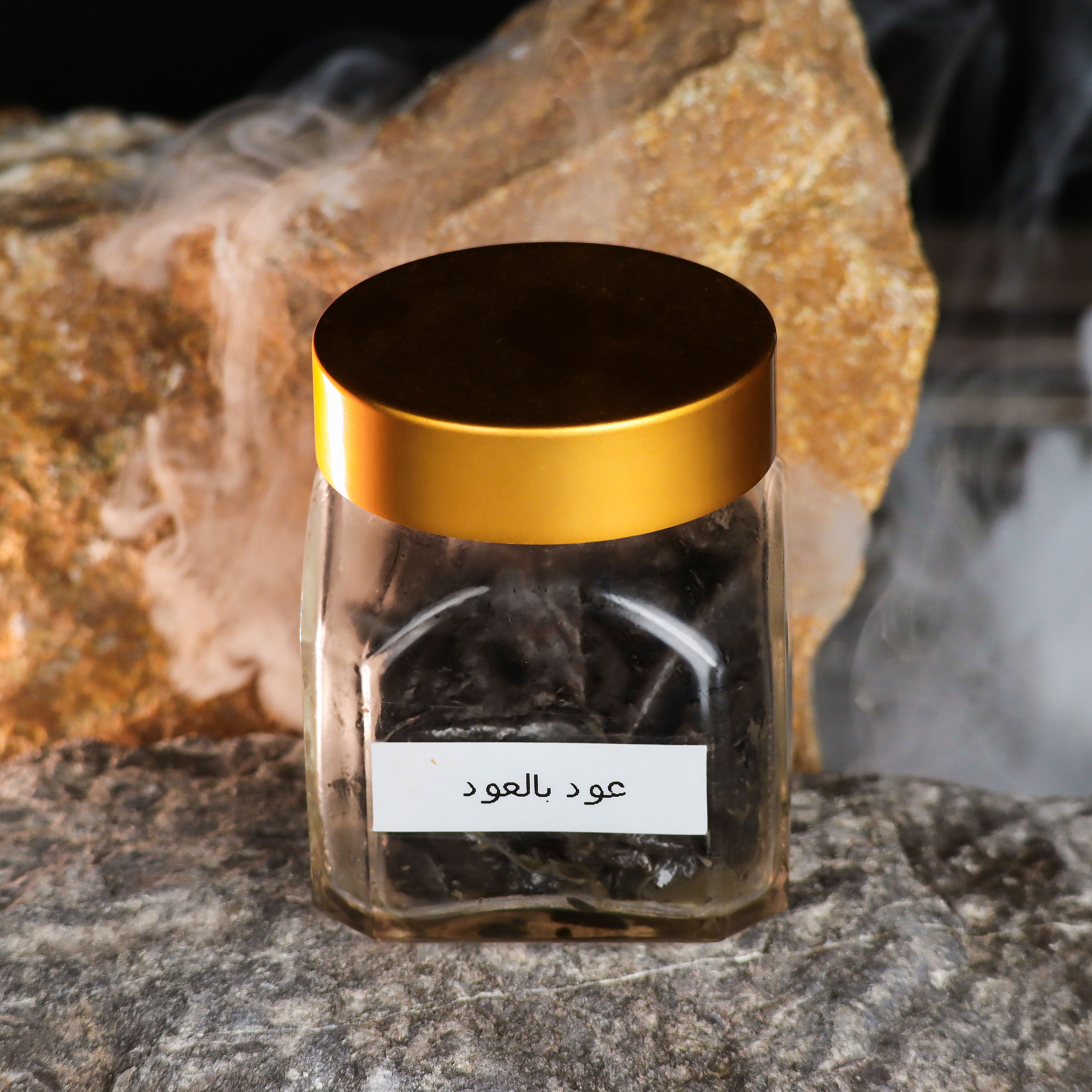 Dokhoon Ariani with oud